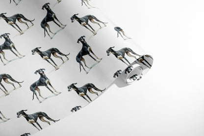 Greyhound