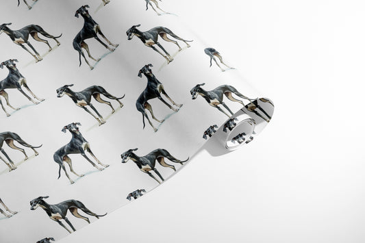 Greyhound