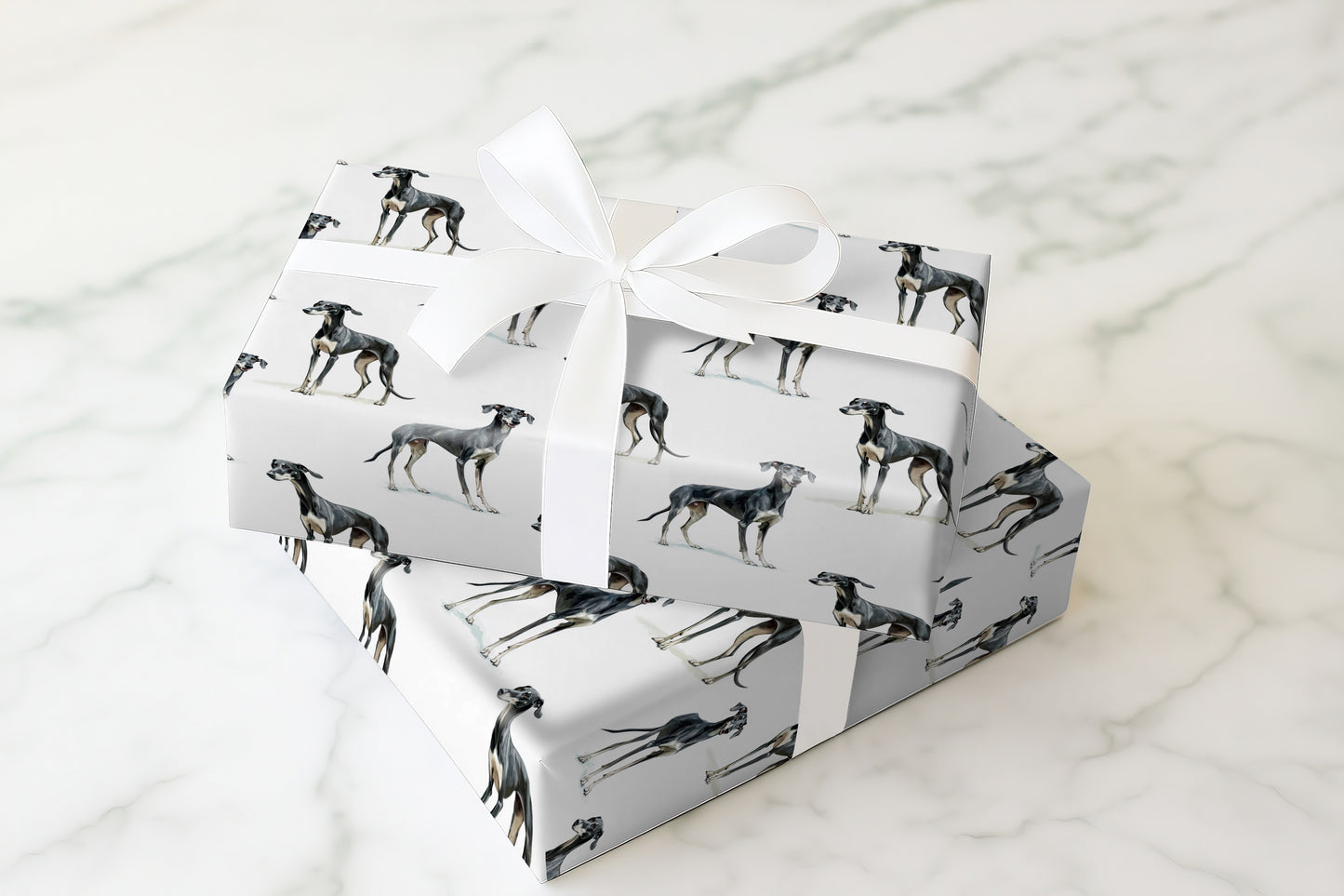 Greyhound