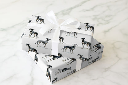 Greyhound