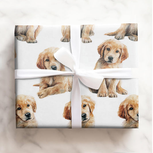 Happy Tails & Puppy Eyes