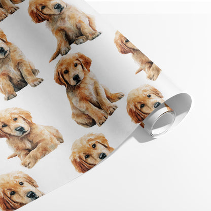 Happy Tails & Puppy Eyes