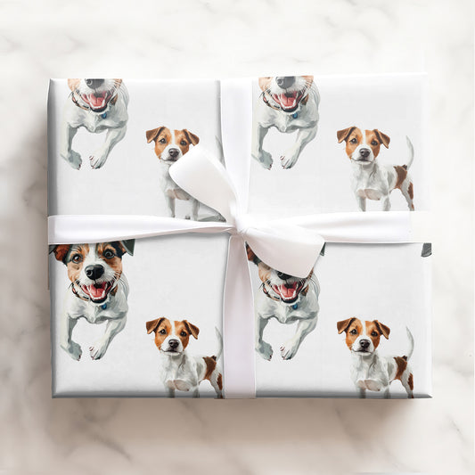 Jack Russel