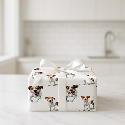 Jack Russel
