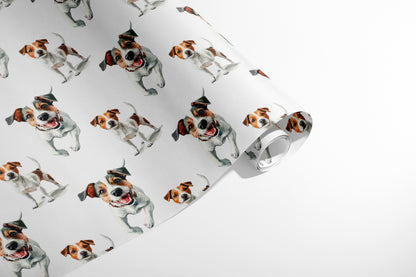 Jack Russel