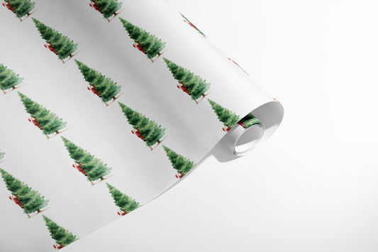 Jolly Fixer of the Fir
