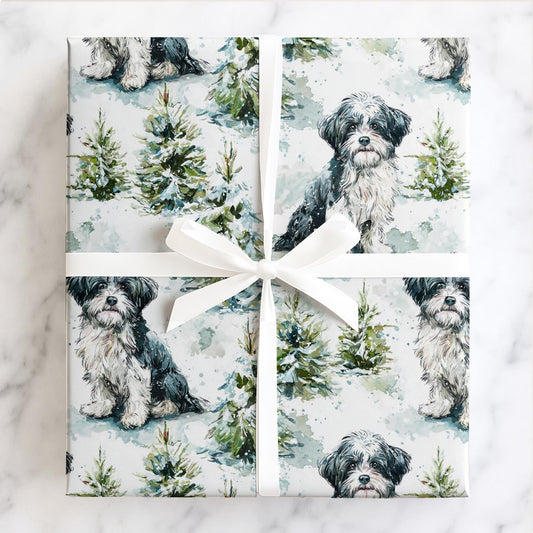 Jolly Little Havanese