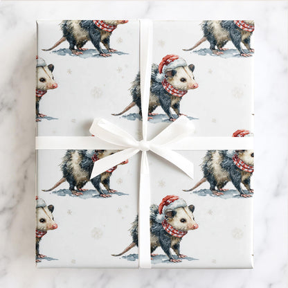 Jolly Little Possum