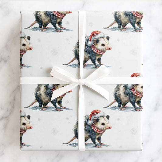 Jolly Little Possum