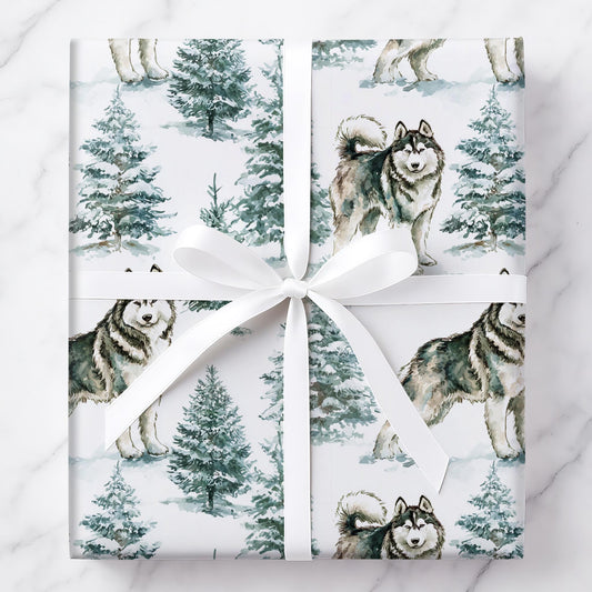 Let It Snow, Alaskan Malamute