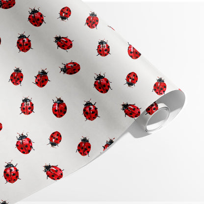 Lovely Ladybugs