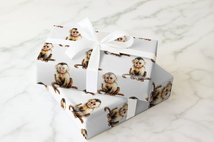 Monkey Business Jr.