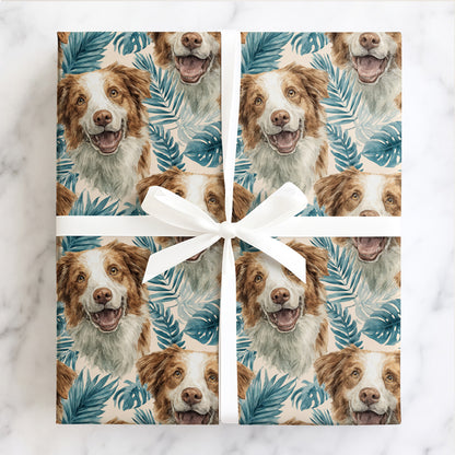 Palm Beach Collie