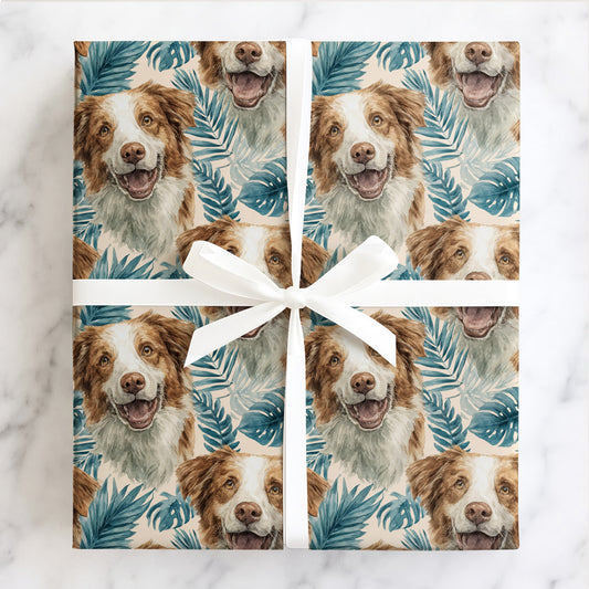 Palm Beach Collie