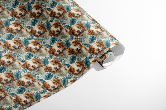 Palm Beach Collie