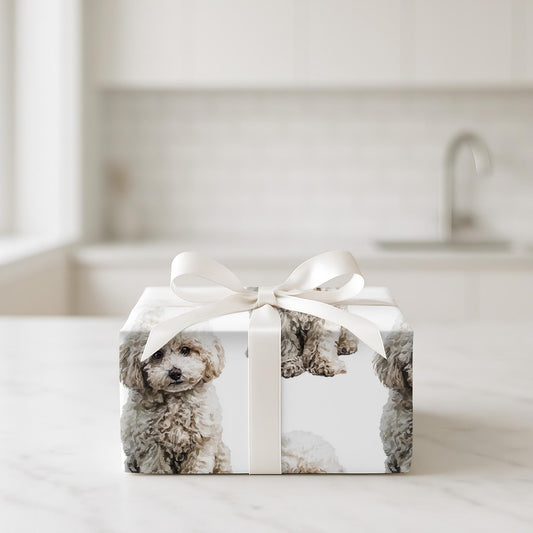 Pawfectly Curly