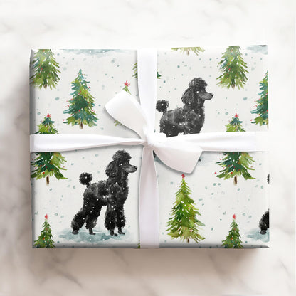 Poodle Wonderland
