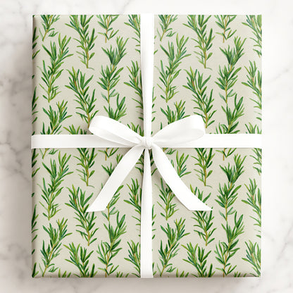 Rosemary in Bloom