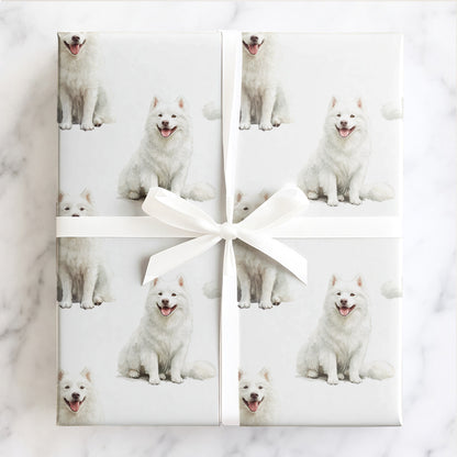 Samoyed
