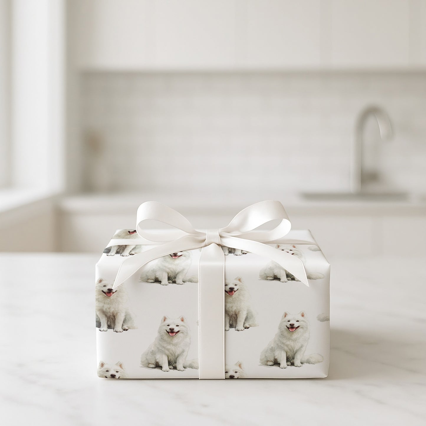 Samoyed