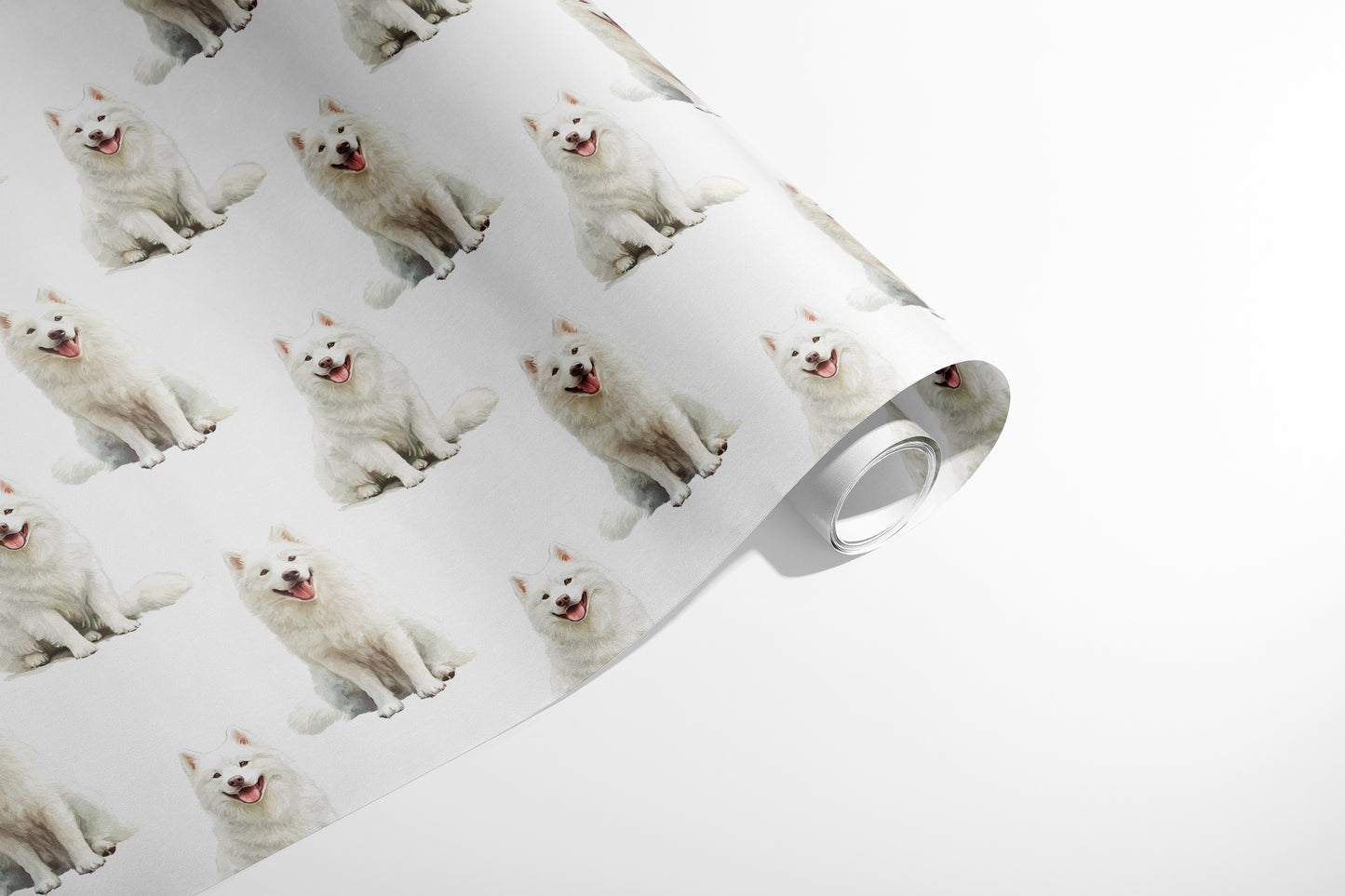 Samoyed