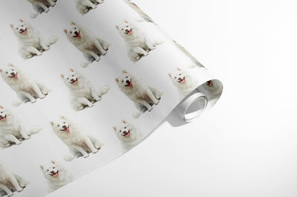 Samoyed