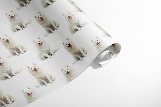 Samoyed