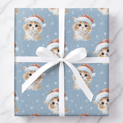Santa Cat