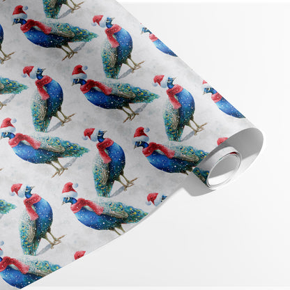 Santa Peacock