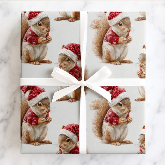 Santa Squirrel