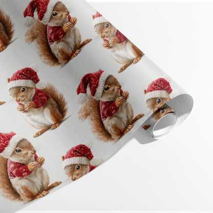 Santa Squirrel