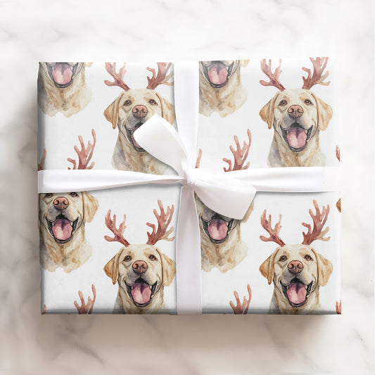 Santa's Labrador