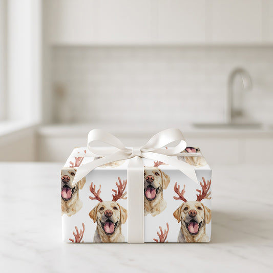 Santa's Labrador