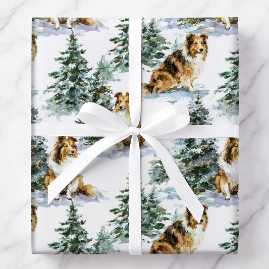 Shetland Sheepdog