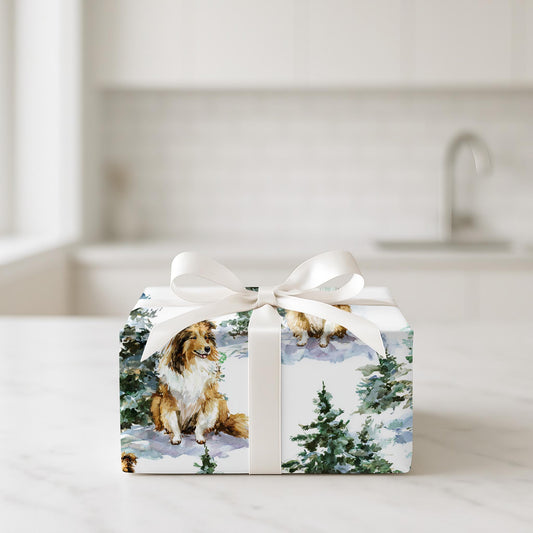 Shetland Sheepdog