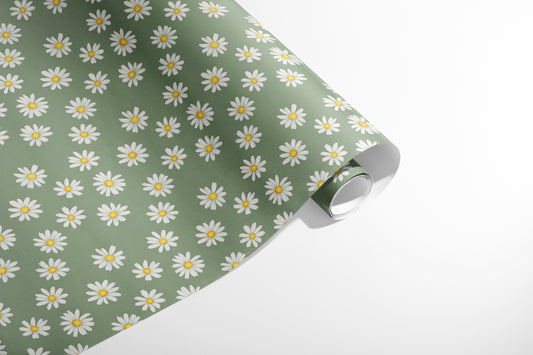 Summer Daisies