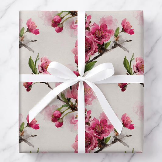 Cherry Blossoms