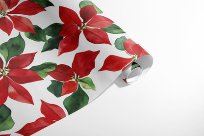 Timeless Poinsettias