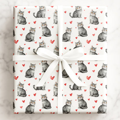 Whiskered Love