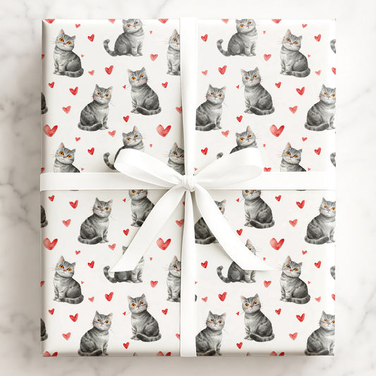 Whiskered Love