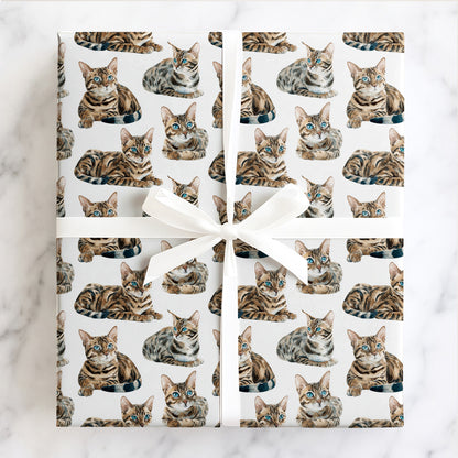 Whiskered Wonders