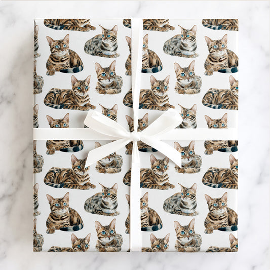 Whiskered Wonders
