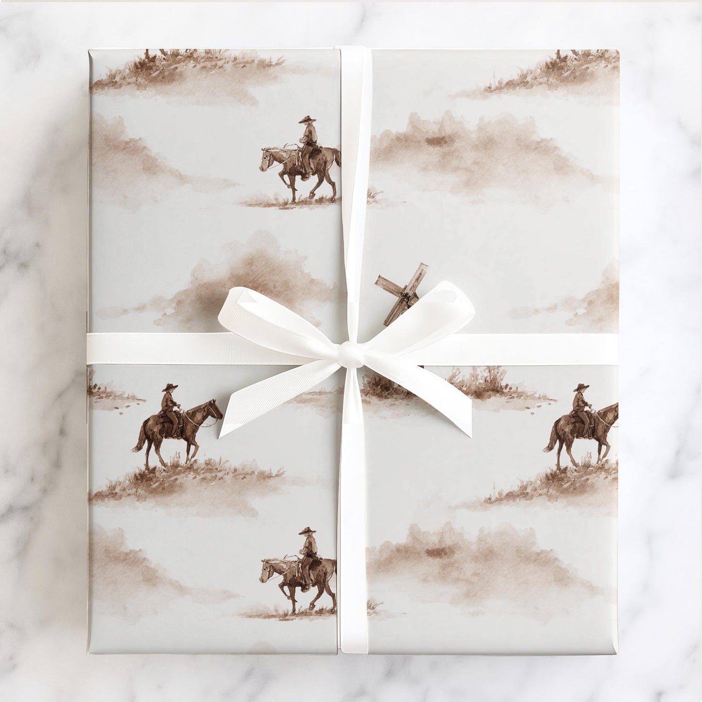 Windmill Witness Protection