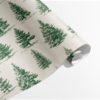 Winter Evergreen Wonderland