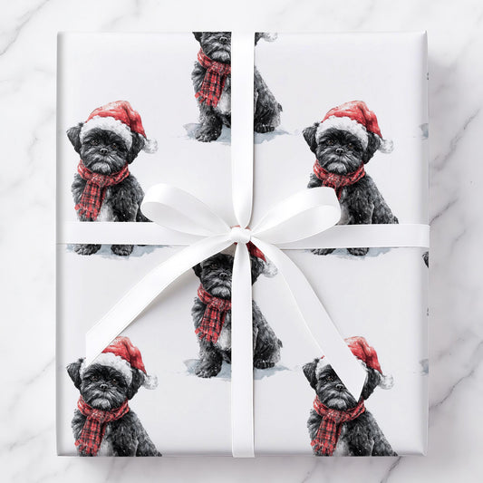 Jolly Shih Tzu