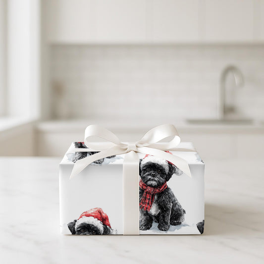 Jolly Shih Tzu
