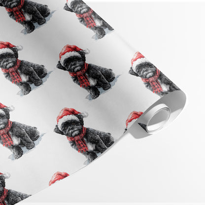 Jolly Shih Tzu